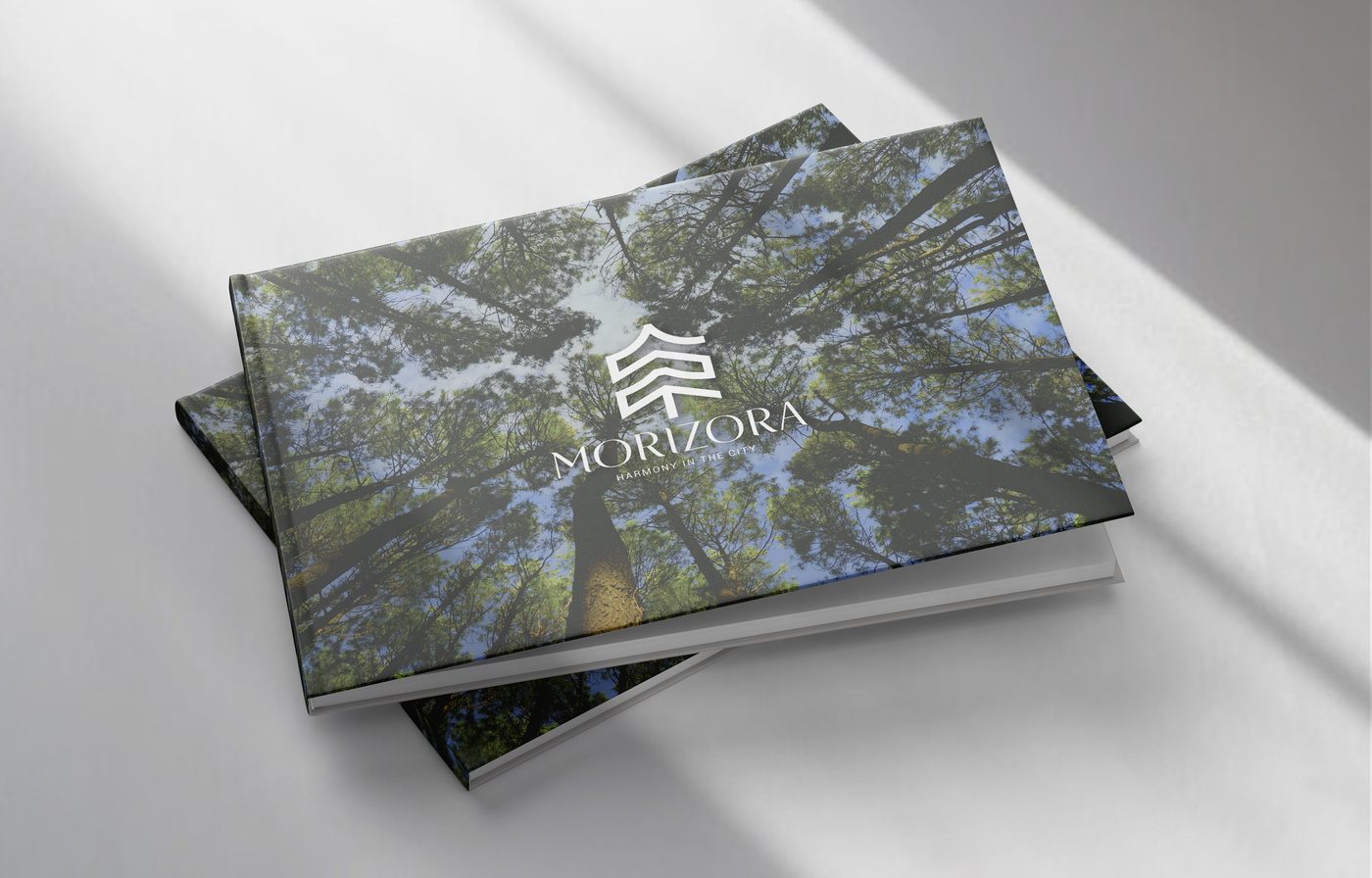 Morizora, branding, 1 of 15